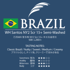 Brazil-WH-Santos-NY2-Scr-15-Semi-Washed
