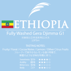 Ethiopia-Fully-Washed-Gera-Djimma-G1