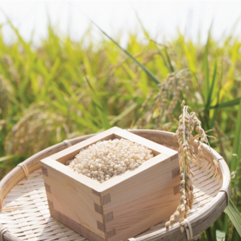 Fukuda Farm Japanese Brown Rice - (Gold) 250g - Fukado