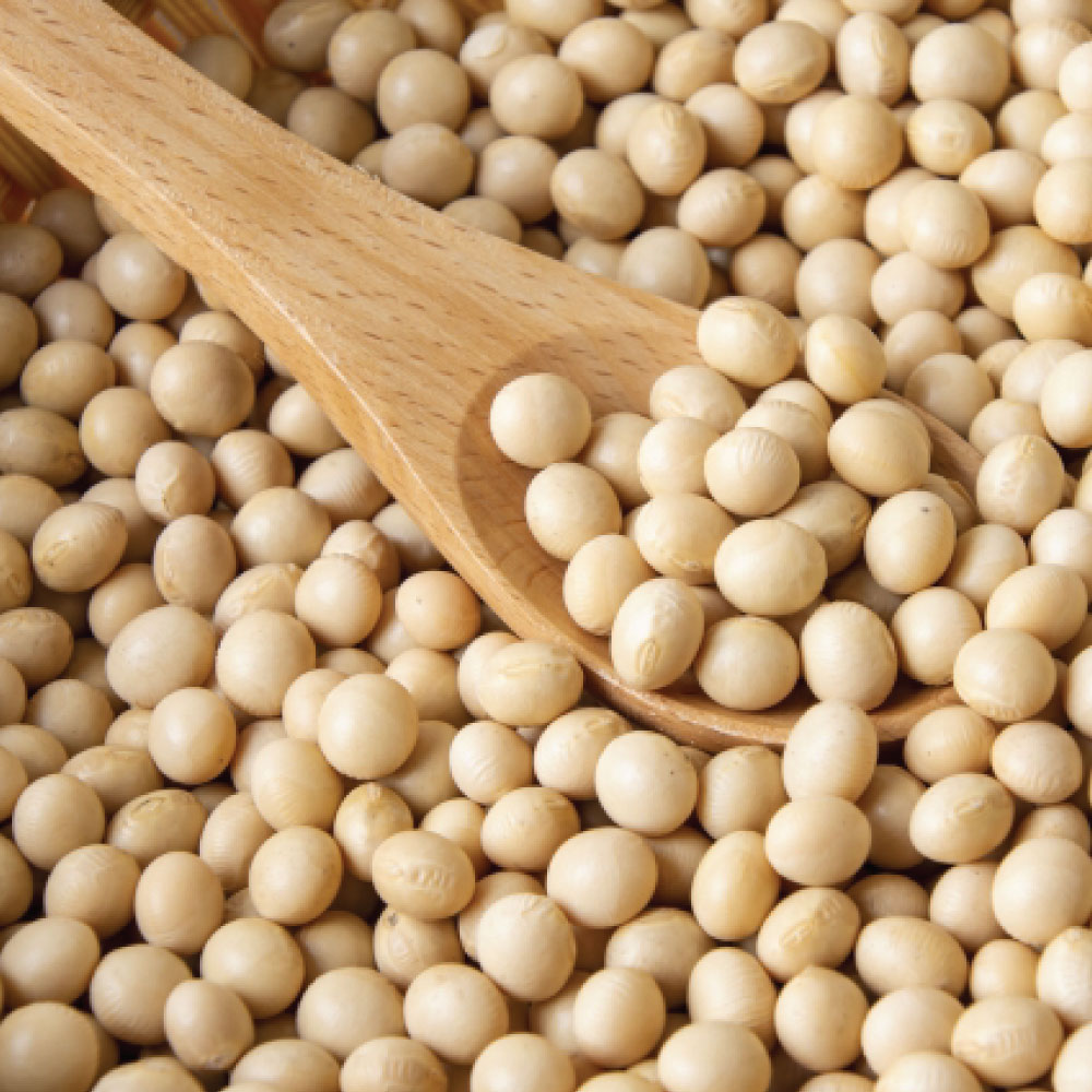 Miso-4 (2)
